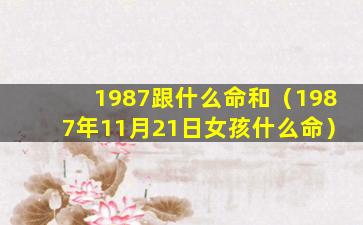 1987跟什么命和（1987年11月21日女孩什么命）