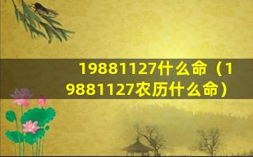 19881127什么命（19881127农历什么命）