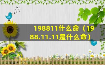 198811什么命（1988.11.11是什么命）