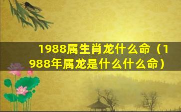 1988属生肖龙什么命（1988年属龙是什么什么命）