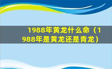 1988年黄龙什么命（1988年是黄龙还是青龙）