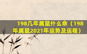 198几年属鼠什么命（198年属鼠2021年运势及运程）