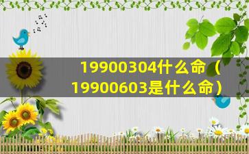 19900304什么命（19900603是什么命）