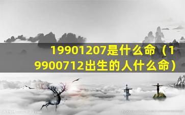 19901207是什么命（19900712出生的人什么命）