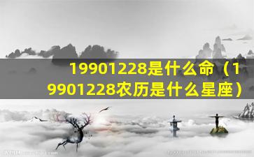 19901228是什么命（19901228农历是什么星座）