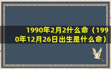 1990年2月2什么命（1990年12月26日出生是什么命）