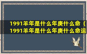 1991羊年是什么年庚什么命（1991羊年是什么年庚什么命运）