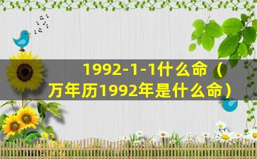 1992-1-1什么命（万年历1992年是什么命）