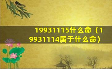 19931115什么命（19931114属于什么命）