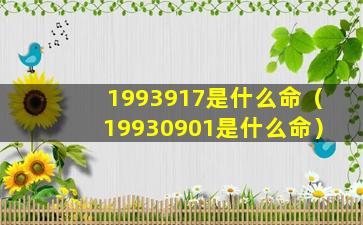 1993917是什么命（19930901是什么命）