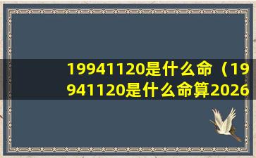 19941120是什么命（19941120是什么命算2026年）