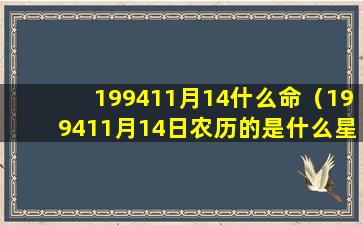 199411月14什么命（199411月14日农历的是什么星座）