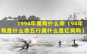 1994年黑狗什么命（94年狗是什么命五行属什么是红狗吗）