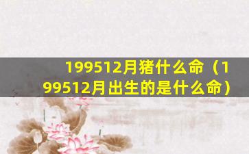 199512月猪什么命（199512月出生的是什么命）