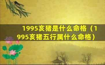 1995亥猪是什么命格（1995亥猪五行属什么命格）