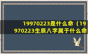 19970223是什么命（19970223生辰八字属于什么命）