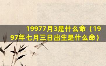 19977月3是什么命（1997年七月三日出生是什么命）