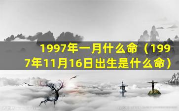 1997年一月什么命（1997年11月16日出生是什么命）