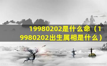 19980202是什么命（19980202出生属相是什么）