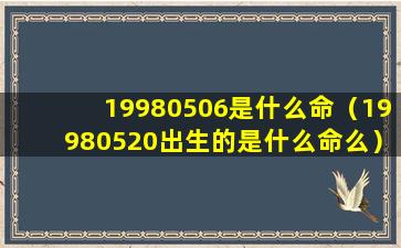 19980506是什么命（19980520出生的是什么命么）