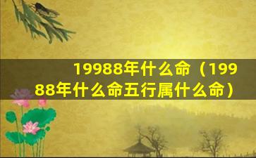 19988年什么命（19988年什么命五行属什么命）