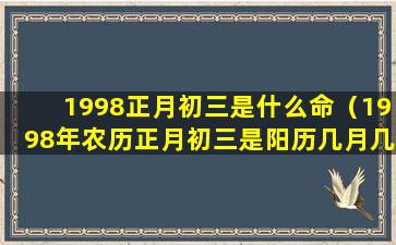 1998正月初三是什么命（1998年农历正月初三是阳历几月几号）