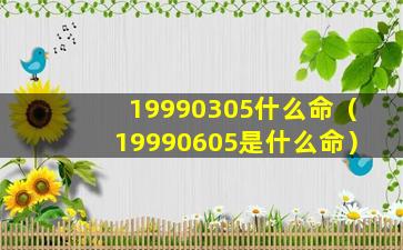 19990305什么命（19990605是什么命）