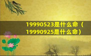 19990523是什么命（19990925是什么命）