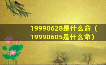 19990628是什么命（19990605是什么命）