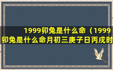 1999卯兔是什么命（1999卯兔是什么命月初三庚子日丙戌时命运怎么样）