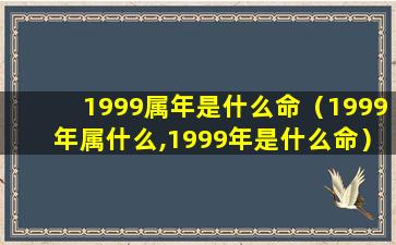 1999属年是什么命（1999年属什么,1999年是什么命）