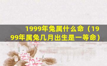 1999年兔属什么命（1999年属兔几月出生是一等命）