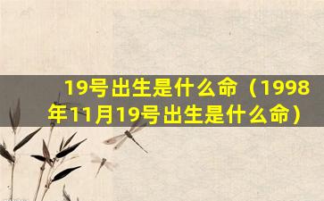 19号出生是什么命（1998年11月19号出生是什么命）