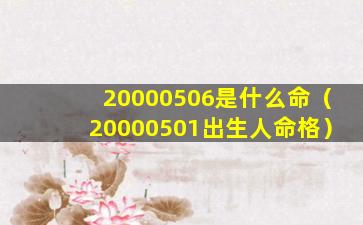 20000506是什么命（20000501出生人命格）