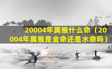 20004年属猴什么命（20004年属猴是金命还是水命吗）