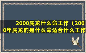 2000属龙什么命工作（2000年属龙的是什么命适合什么工作）