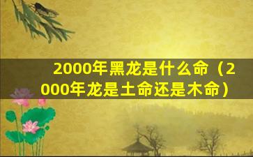 2000年黑龙是什么命（2000年龙是土命还是木命）