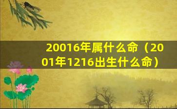 20016年属什么命（2001年1216出生什么命）