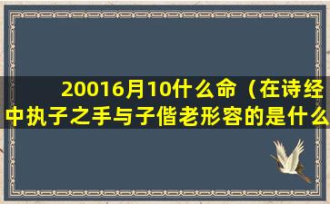 20016月10什么命（在诗经中执子之手与子偕老形容的是什么人之间的感情）