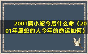 2001属小蛇今后什么命（2001年属蛇的人今年的命运如何）