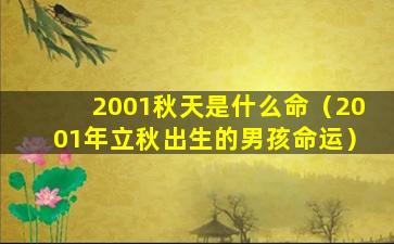 2001秋天是什么命（2001年立秋出生的男孩命运）