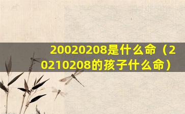 20020208是什么命（20210208的孩子什么命）