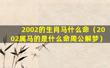 2002的生肖马什么命（2002属马的是什么命周公解梦）