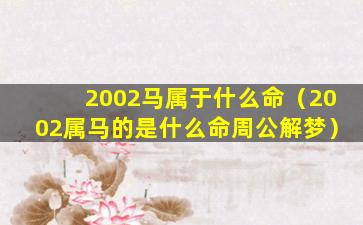 2002马属于什么命（2002属马的是什么命周公解梦）