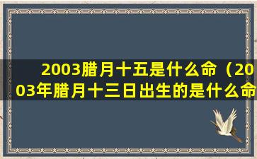 2003腊月十五是什么命（2003年腊月十三日出生的是什么命）