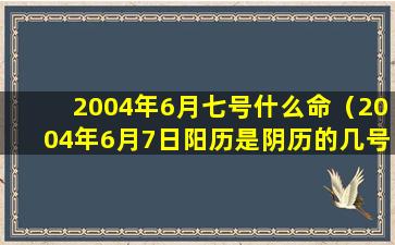 2004年6月七号什么命（2004年6月7日阳历是阴历的几号）