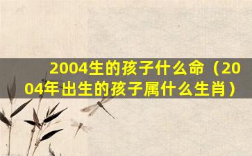 2004生的孩子什么命（2004年出生的孩子属什么生肖）