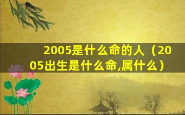 2005是什么命的人（2005出生是什么命,属什么）