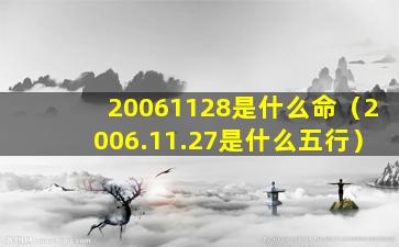 20061128是什么命（2006.11.27是什么五行）