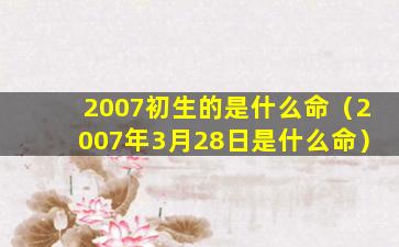 2007初生的是什么命（2007年3月28日是什么命）